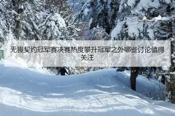 无畏契约冠军赛决赛热度攀升冠军之外哪些讨论值得关注